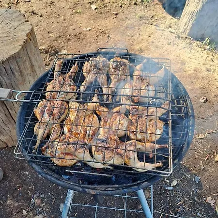 Les D'hotes Du Moulin Arles-sur-Tech