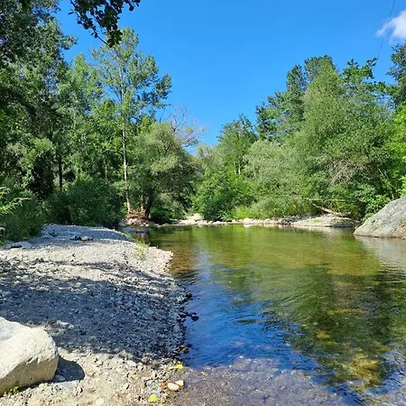 Les D'hotes Du Moulin Arles-sur-Tech